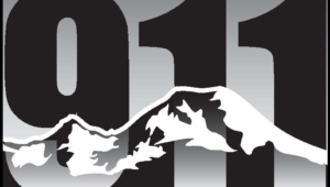 NORCOM Logo without Name